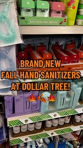 Dollar Tree! Omg Dollar Tree came out with brand new hand sanitizers for the fall this year! I love both of these scents so much! #dollartree #dollartreefinds #dollartreeshopping #newatdollartree #dollartreecommunity | CassidysCorner
