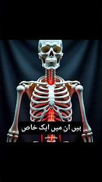 How Blood Is Formed // خون کیسے بنتا ہے۔