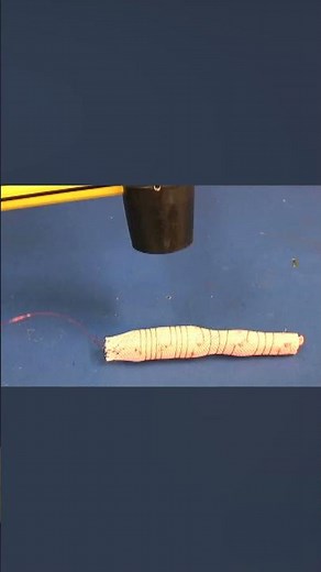 This robot imitates earthworms