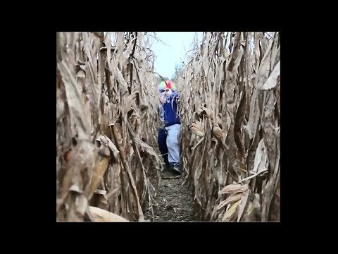 clown chases me in a cornfield... (HELP)
