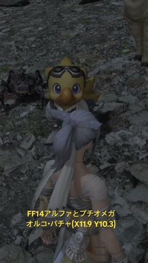 FF14アルファとプチオメガの出現場所 オルコ・パチャ #ff14ルリルリ