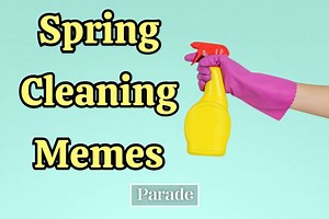 28 Funny Spring Cleaning Memes That Will Make You LOL