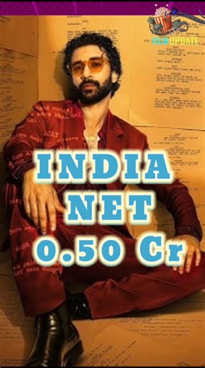 BHAI TERA STAR HAI BOX OFFICE COLLECTION DAY 2