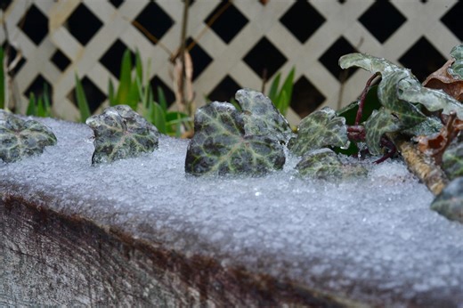 How much ice did metro Atlanta get during winter storm? See totals