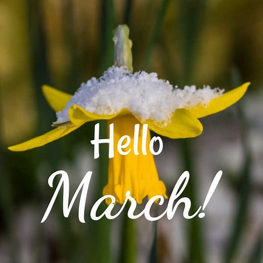 March National Days - Get a List of the National Days in March
