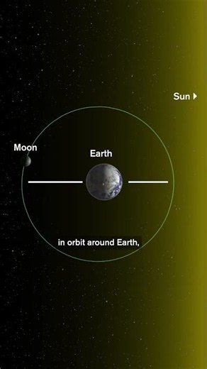 Rare Micromoon - Don’t Miss It!