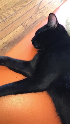 12Play da Model (@t12.play)’s videos with original sound - 12Play da Model