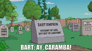 BART: Ay, caramba!