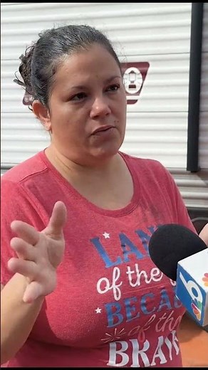 Police look for Grinch who stole Christmas yard decorations in Florida