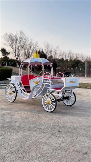Cinderella Carriage Experience for Young Princesses