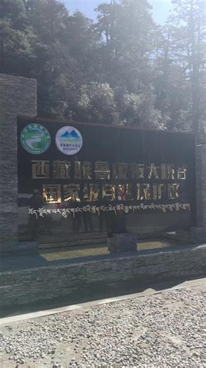 亲水叠瀑布 亲水叠瀑是扎墨公路（G559）上最壮观、最具代表性的瀑布景观之一。它位于从波密县穿越嘎隆拉隧道进入墨脱县后的约55公里处（因此也被称为“55K瀑布”）。· 三级阶梯叠水：瀑布共分三级，顺着布满青苔的岩壁轰鸣而下，因此得名“叠瀑”，层层跌落很有气势。· “亲水”体验：名字中的“亲水”很贴切。修建有观景栈道和亭子，你可以近距离感受水汽扑面而来，以及瀑布轰鸣声带来的清凉与震撼。· 热带