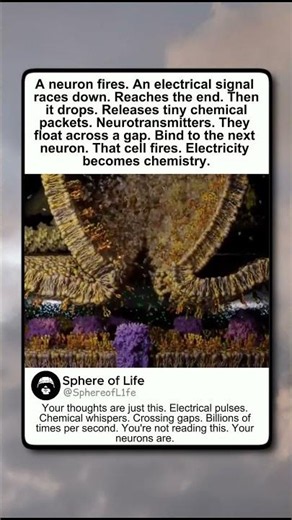 Neuron Fires, Electricity Becomes Chemistry — Your Thoughts Are Just Electrical Pulses.