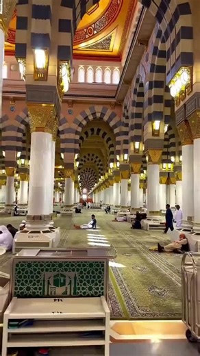 Muhammad adil (@muhammad.adil.12)’s videos with original sound - Muhammad adil