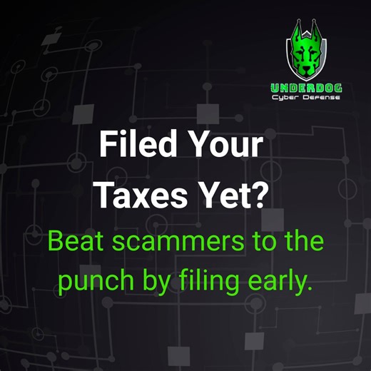 IRS Identity Theft Protection: File Early, Stay Safe | Carmine Corridore posted on the topic | LinkedIn