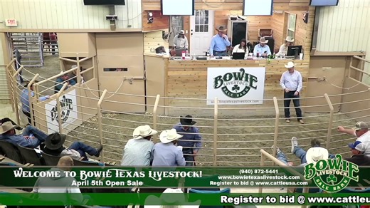 Bowie Texas Livestock April 5th Open Sale! | Bowie Texas Livestock Barn