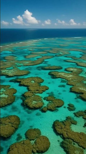 Japan’s Hidden Coral Paradise | Miyako Blue Reefs from Above #shorts