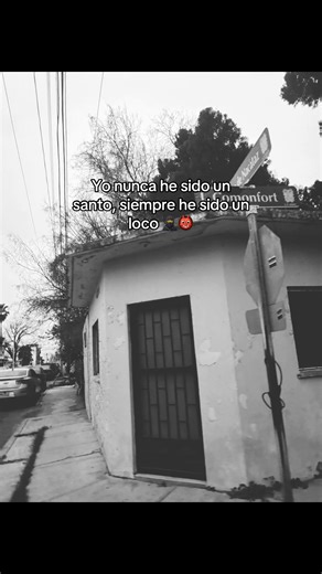 Understanding the Loco Persona in Popular Culture