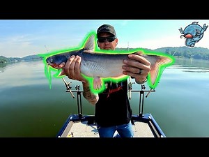 New MulTbar Rod Racks and Smackdown Catfishing rod holders