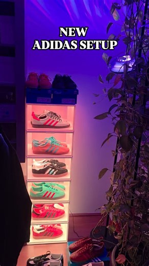 The Casual Code on Instagram: "ɴᴇᴏɴ ꜱᴇᴛᴜᴘ 👟💡 New setup, neon lights on, Adidas lined up with care. Clean lines, sharp details — sometimes the visuals do all the talking. #adidas #adidasoriginals #casualculture #casualclobber #keepitcasual"