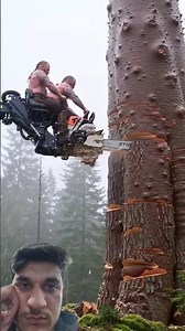 amazing tree cutting 😲 | Must watch end 🔚 #youtube #ytshorts #shortvideo #shorts #explore #tree
