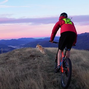 Wherever the journey takes you, we’re there to help you get more out of your adventures – delivering quality nutrition through purposeful ingredients for your loyal companion. | VICTOR Super Premium Pet Food