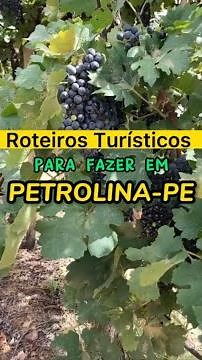 Roteiros Turísticos para fazer em Petrolina-PE
