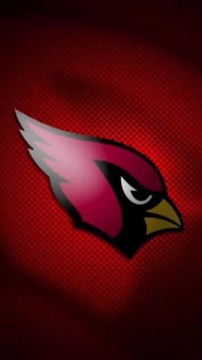 The Arizona Cardinals logo didn’t just evolve… it transformed.🔥 From a simple bird to a fierce modern icon, here’s how decades of redesign shaped one of the NFL’s boldest looks. Which era is your favorite? 🏈👀 #Cardinals #NFLHistory | Random Sports Time