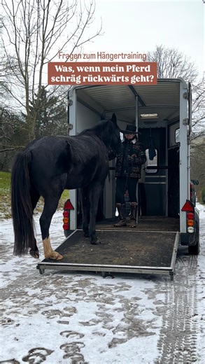 Sabrina Föder • Leichtigkeit mit Pferd on Instagram: "Du lädst dein Pferd aus dem Hänger aus, es wird immer schräger und wumms… es rutscht ab. Das muss nicht passieren, lass uns mal zusammen draufschauen, wie du in solchen Situationen eine gute Lösung findest. Denn was oft nach Zauberei ✨aussieht, ist eigentlich nichts anderes als eine gut sitzende Basis vom Boden. 🌿🐴 Was du tun kannst: • keine Panik, dein Pferd verletzt sich nicht sofort, falls es doch mal schräg aussteigt (eine ruhige, posit