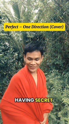 Perfect – One Direction (Cover)