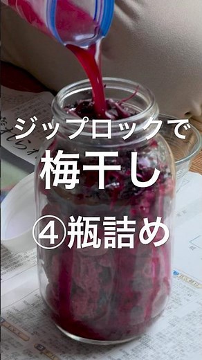 [Easy Umeboshi Making with Ziploc 2025] ④ Bottling ~Plums are expensive so only 1kg~
