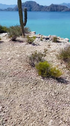 77K views · 2.2K reactions | En el Parque Nacional Bahía de Loreto, en Baja California Sur, se encuentran cinco islas principales que son un destino popular para el ecoturismo y las actividades acuáticas. | Baja California Sur México | Facebook