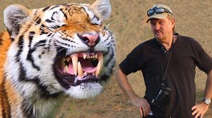 30 reactions · 8 comments | Join me on a trip into Ranthambore National Park in India to see some tigers. Is tourism helping or hurting the tigers in India. Watch this and let me know if the comments | Billschannel | Facebook