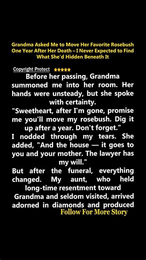 Grandma’s story always makes me smile 😊. Grateful for her wisdom and love. #FamilyFirst #GrandmaLove | Story Blazing Star