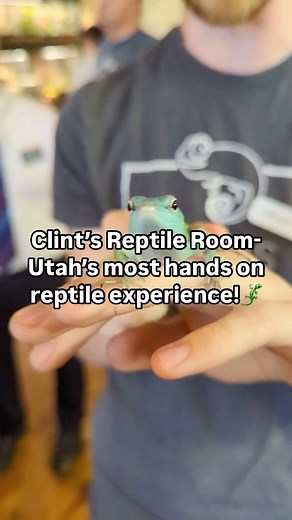 Utah With Kids | At Clint’s Reptile Room in Springville you can hold, feed and interact with over 60 different species of animals in the most beautiful... | Instagram