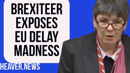 Brexiteer exposes EU law delay madness