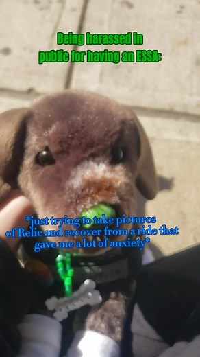 Understanding Emotional Support Plushies and Their Impact