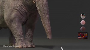 Check out Untold Studios' beautifully constructed VFX breakdown of the CG elephant it created for 'Trunk Trucker', a recent ad for UK telecommunications firm Virgin Media O2 Watch the full video on the Untold Studios website: https://untoldstudios.tv/vfx/project/virgin-media-13/ | CGchannel