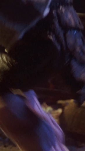 64K views · 8.9K reactions | I would give almost anything to know where this Mega Madness Gremlin puppet in 80’s sweats ended up. #moviescenes #80s #80smovies | Gremlins Museum | Facebook