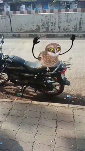 #cosplaycommunity #funnyshorts