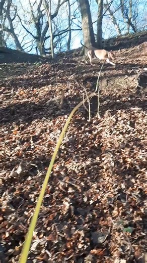 1st of May, memories of trying to teach Mum Maypole dancing. Not her best attribute! #mayday #maypoledance | Loved Lola