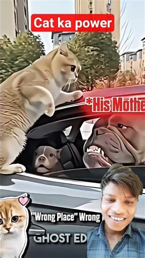 pet ka power #trolledit #cat