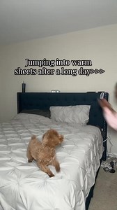 Sleep warm your way ❄️🔥 Our Heated Mattress Pad lets both sides choose their own perfect temperature. No more arguments, no more cold nights—just personalized comfort all night long. | EverLittle