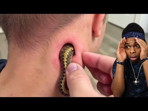 a snake was stuck in there..