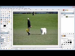Gimp beginner's Project - remove a person from a photo using the clone tool