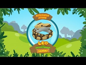 Reticulated Python - Leo The Wildlife Ranger Animal Diaries | Animal Facts for Kids
