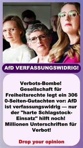 AfD VERFASSUNGSWIDRIG!