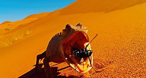 10K views · 38 reactions | Mmm!! What's for lunch!? Don't miss "Wild Africa" in IMAX. For tickets & showtimes, visit: twose.ca/WildAfrica "Wild Africa" is presented locally by EPCOR Canada Edmonton. | TELUS World of Science - Edmonton | Facebook