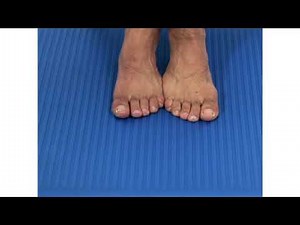 Ankle Eversion (double, isometric)