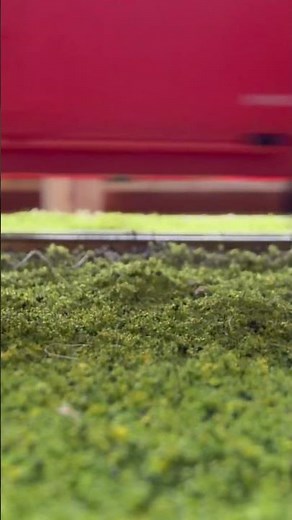 Train!!!! (HO scale)