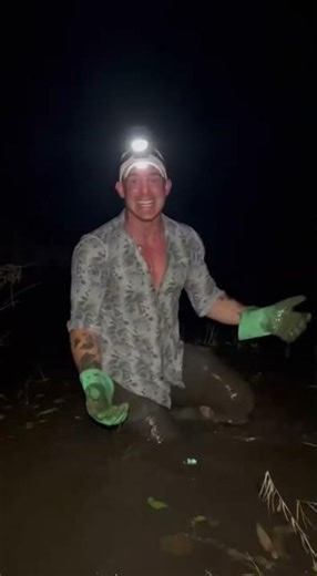 I Was Underwater… Then I Grabbed This Alligator 🐊 #wildlife #shorts #viral